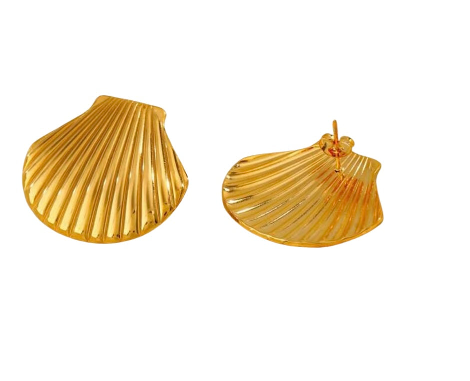 Seashell Earrings